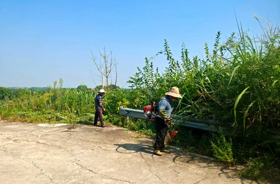 漆河鎮(zhèn)：“砍青除雜”暢通求學(xué)路 實(shí)踐課堂潤(rùn)澤學(xué)子心