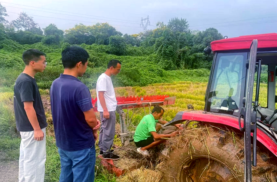 夷望溪鎮(zhèn)政協(xié)委員力推秸稈旋耕滅茬 繪就生態(tài)增收新圖景