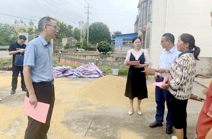 桃源县政协委员深入架桥镇助力秸秆禁烧  筑牢生态防线