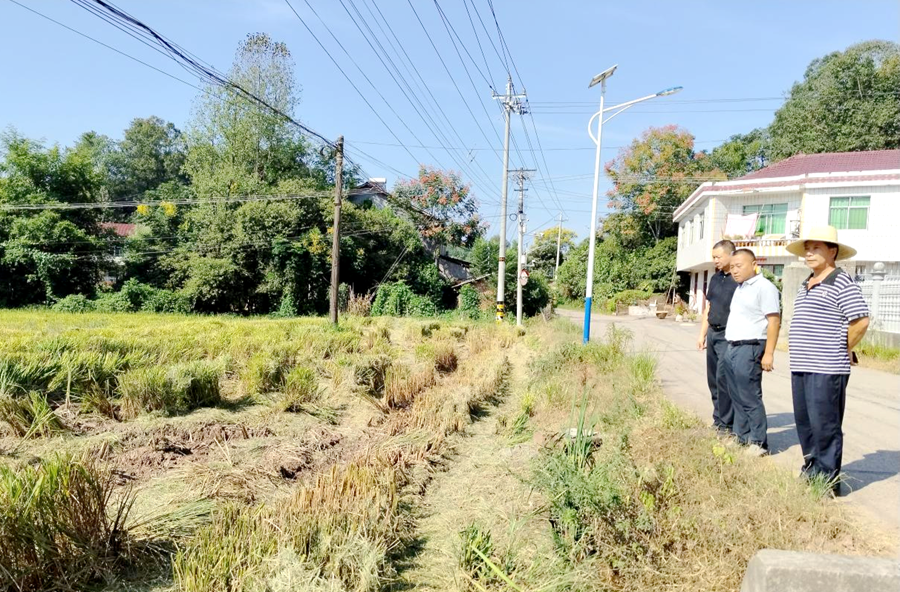 筑牢“禁烧墙”！泥窝潭乡委员工作室守护蓝天沃土