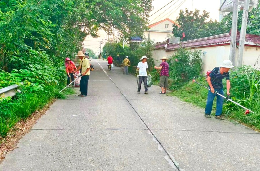 木塘垸镇：清杂扩路提质效 人居环境焕新颜