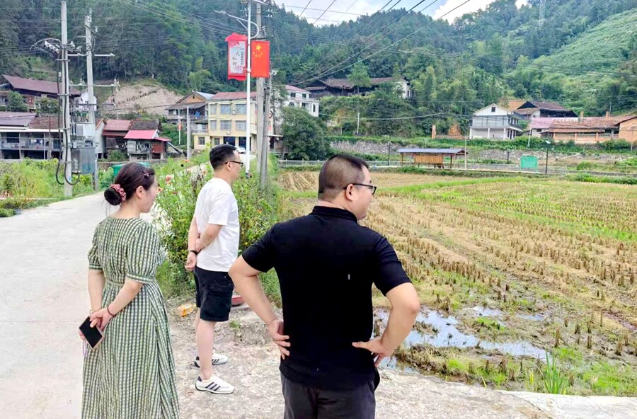 西安镇：筑牢秸秆禁限烧“防火墙”，政协委员工作室在行动