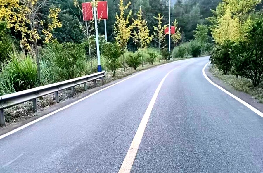 牛车河镇：整治路域环境  护航出行安全
