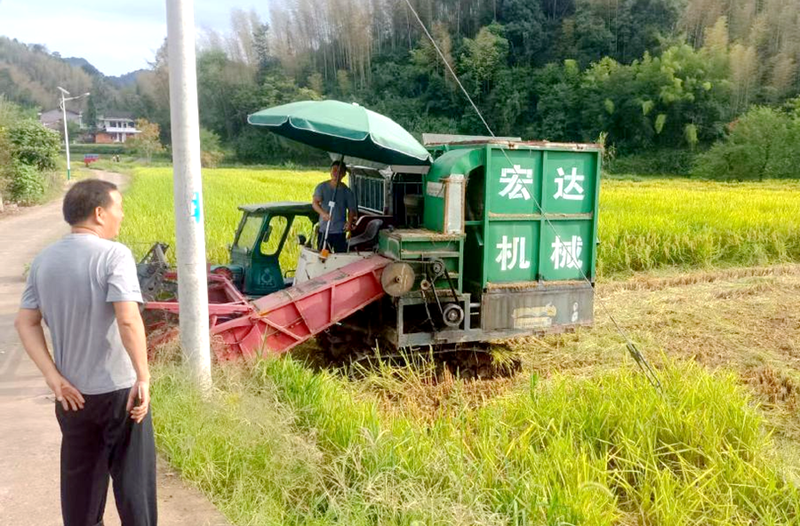 夷望溪镇：疏堵结合织密秸秆禁烧“防护网”
