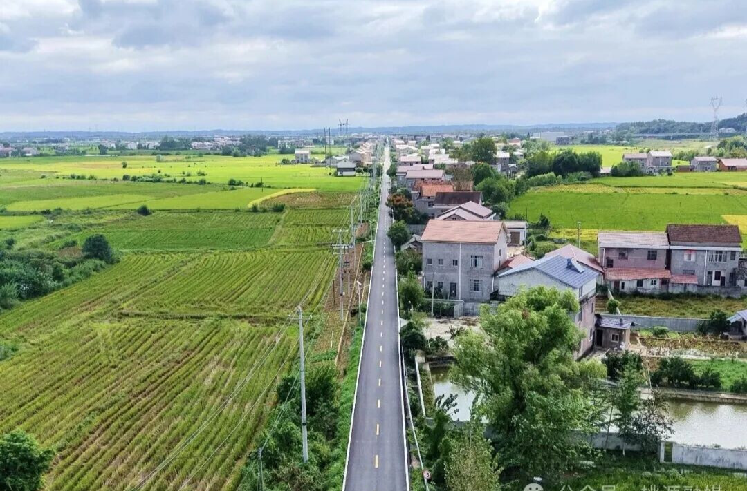 枫树乡：枫叶红时路焕新 白漆畅达惠万家