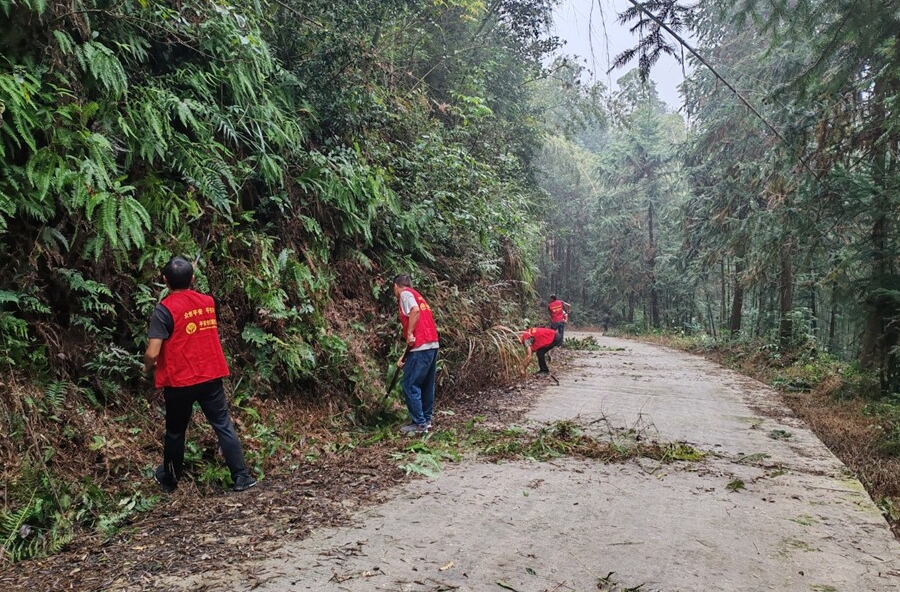 沙坪镇：党群携手共绘美丽家园新画卷