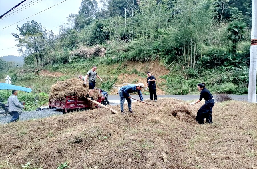 理公港镇：多点发力织密秸秆禁烧“防护网” 凝心聚力守护乡村“蓝天蓝”