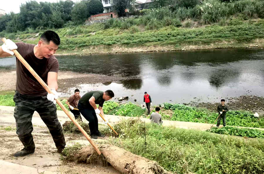 桃源县漳江垸水利管理委员会：除草护堤保安澜