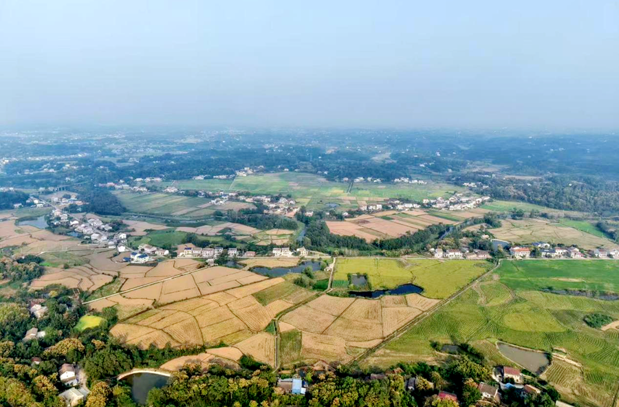 秀美桃源丨双溪口镇：“人防+技防”筑牢秸秆禁烧防线