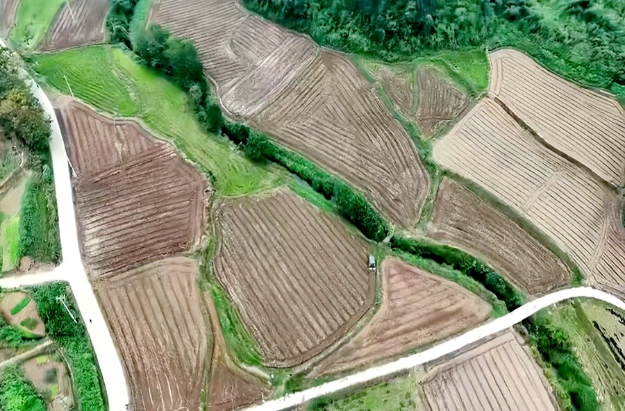筑牢粮油安全线，泥窝潭乡多维度推进油菜种植落地