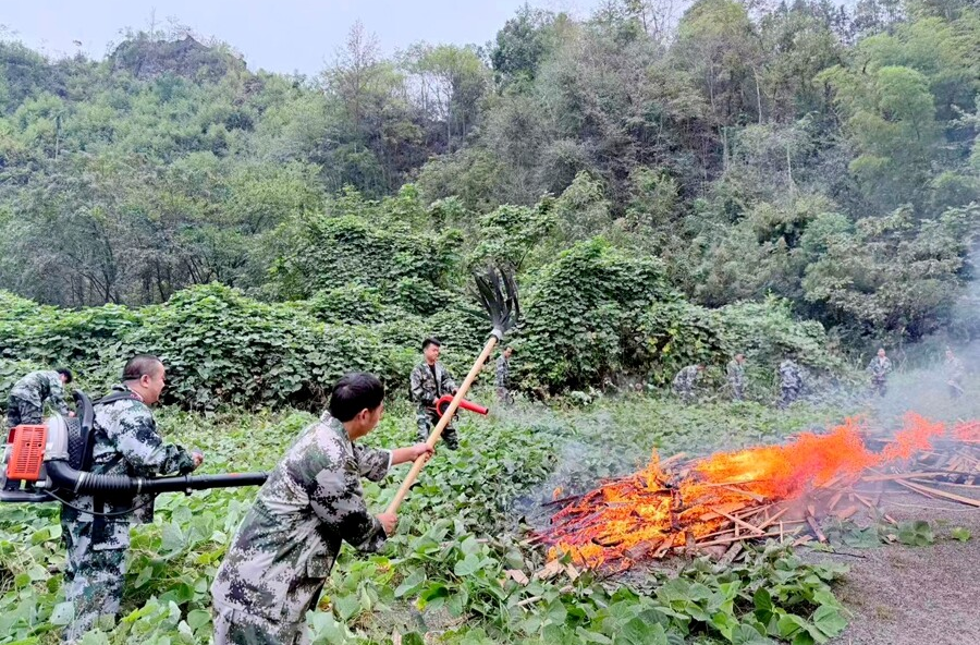 西安镇：以练为战砺精兵 勇担使命护民生
