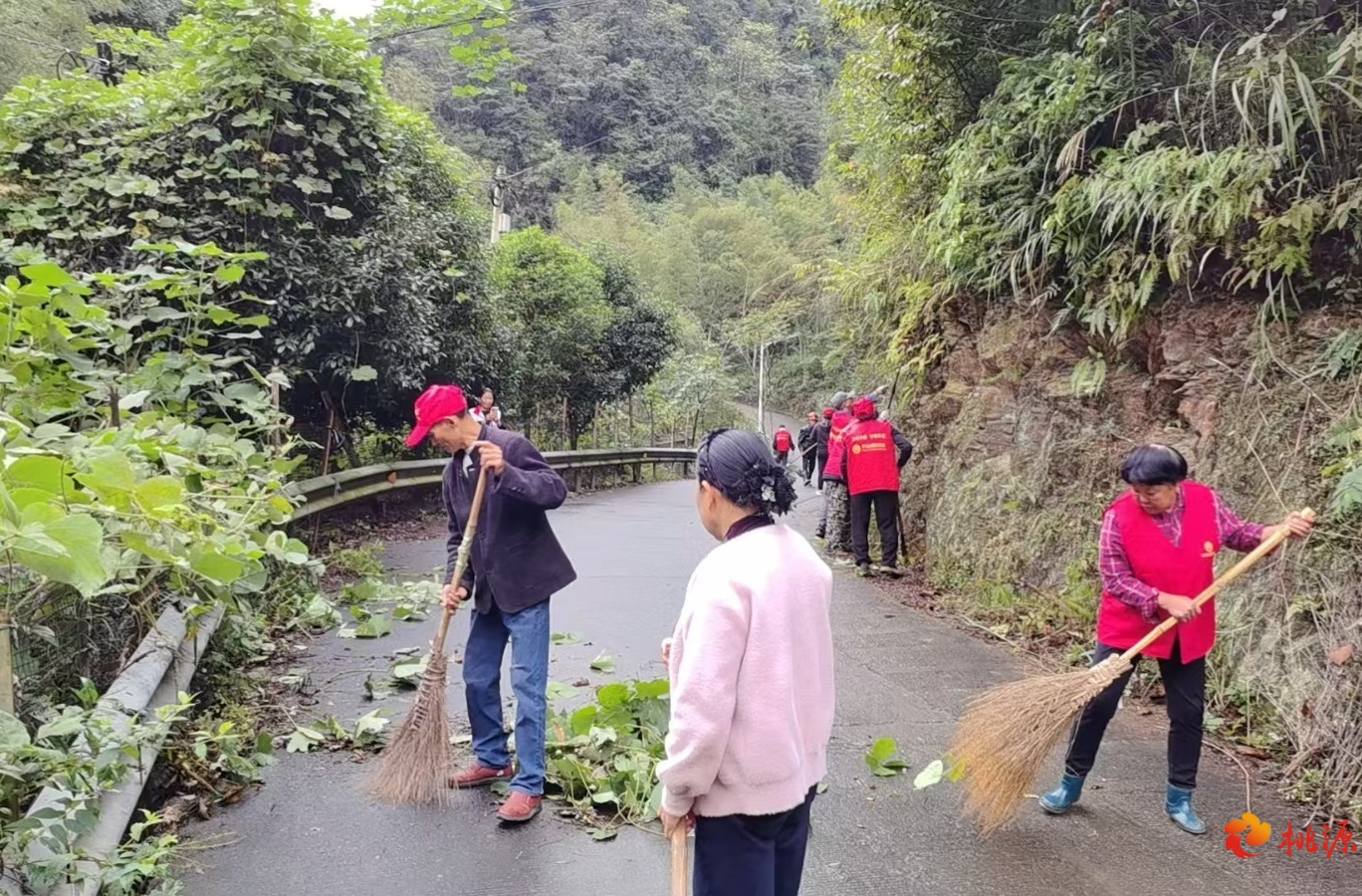 沙坪镇:党建引领“志愿红”铺就乡村“平安路”