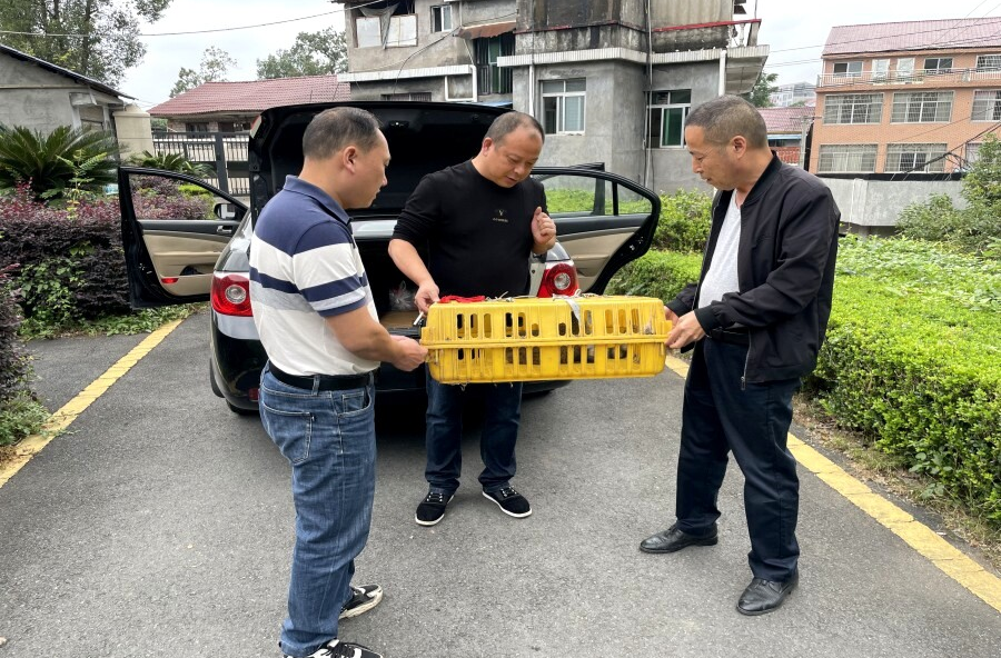 理公港镇：“110吗？我在路边捡到了国家保护动物！”