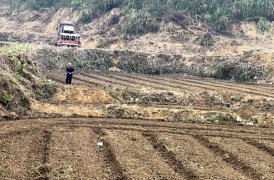龙潭镇：荒土变良田 村民乐开花