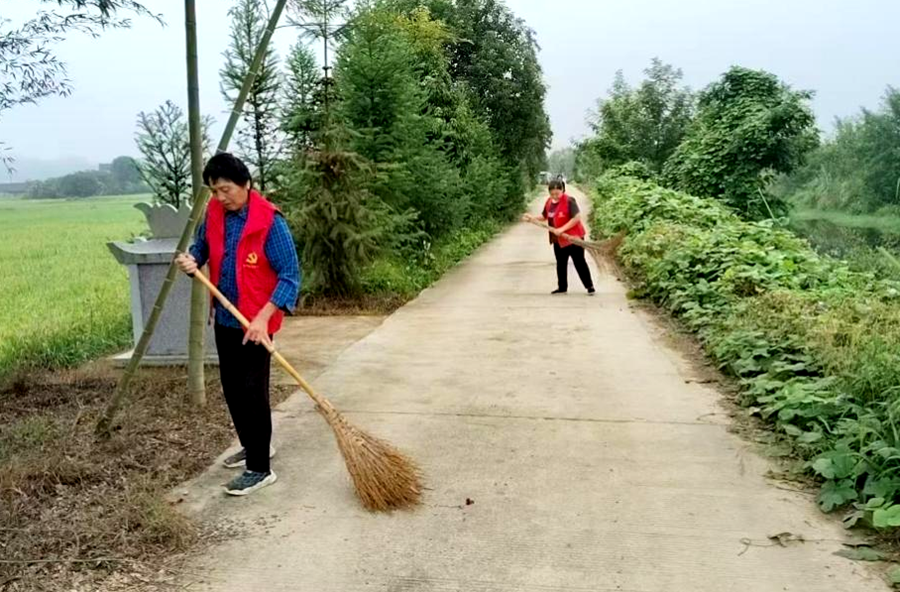 沙坪镇太平村：党建引领聚合力，党徽闪耀焕沟渠
