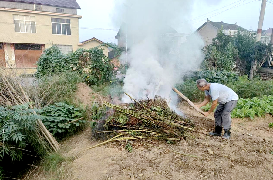 沙坪镇芦花社区：党员先锋齐发力 绘就生态宜居新画卷