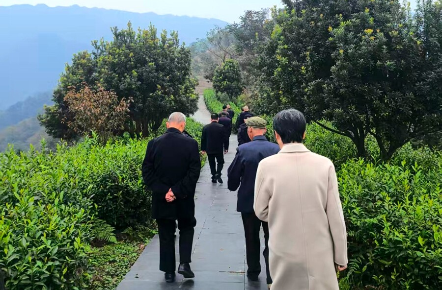 重阳敬老情暖金秋，茶庵铺镇老干活动精彩纷呈