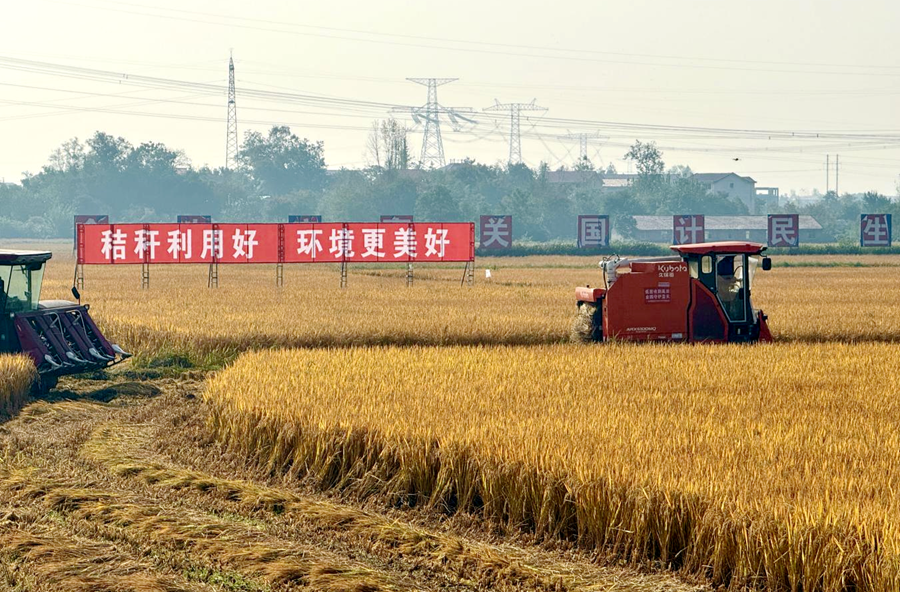 点“草”成金 桃源县秸秆综合利用新机具新技术推广演示会昨日举行