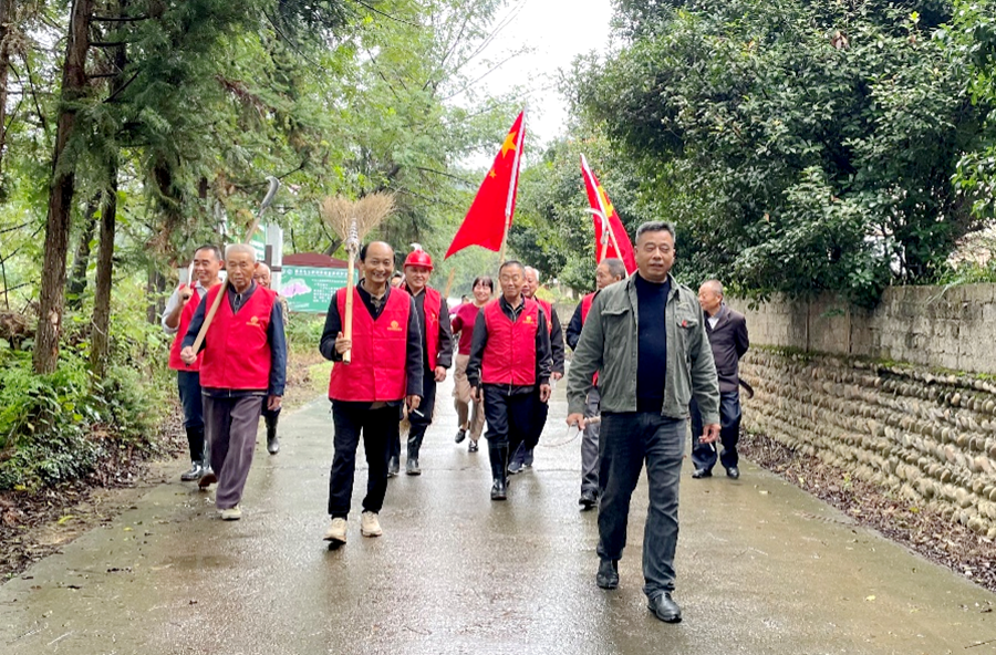 秀美桃源｜沙坪镇向阳村：人居环境整治掀起党员先锋热潮