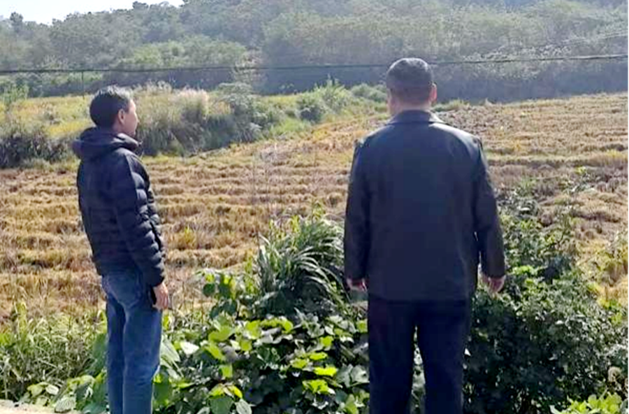 架桥镇：筑牢生态安全防火墙