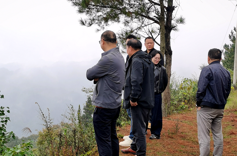 桃源县自然资源局赴梨树垭村开展村庄规划实施专题调研