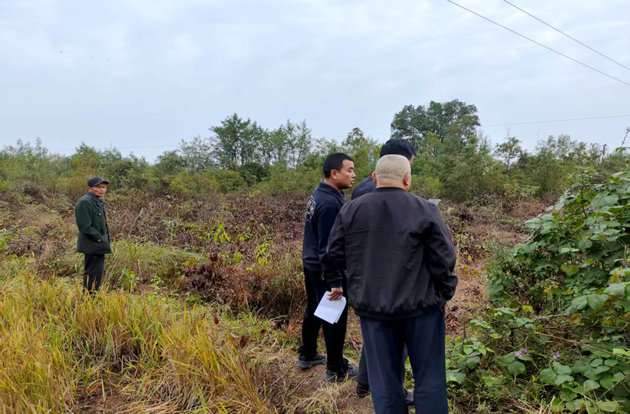 架桥镇：全力推进耕地恢复，夯实粮食安全根基