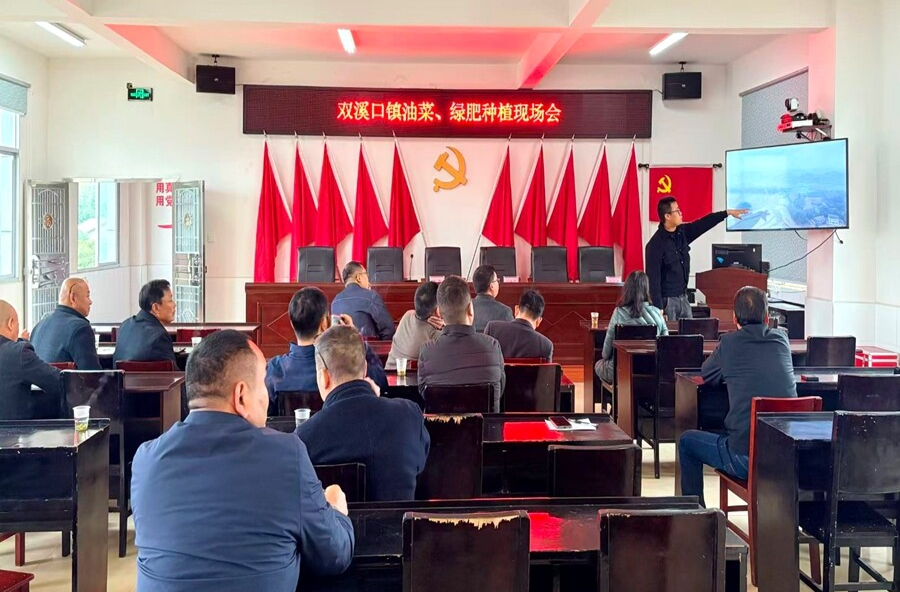 双溪口镇：现场会解码“油菜经” 行动力绘就新图景
