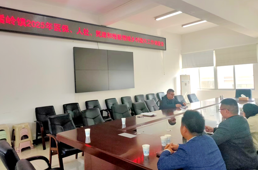 马鬃岭镇：向内自省查弊病   对题施策固根基