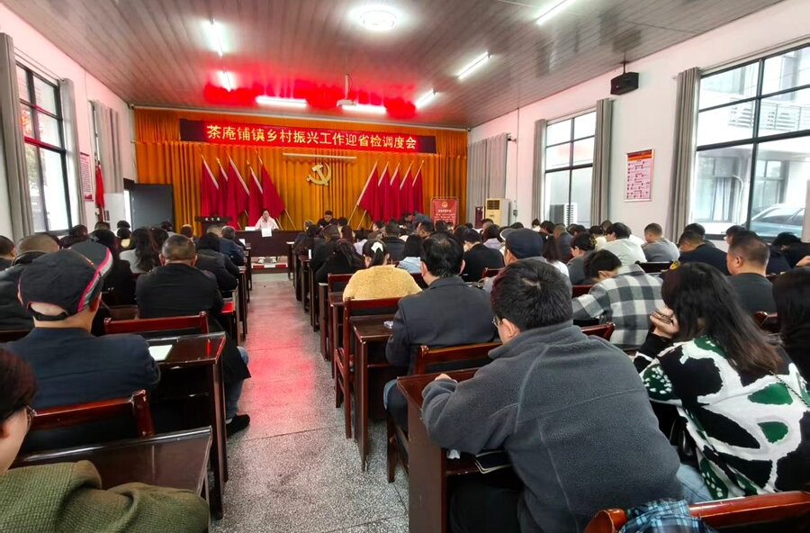 茶庵铺镇：压实责任强推进 筑牢防返贫底线