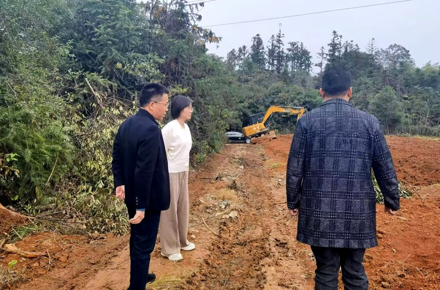 枫树乡：唤醒“沉睡”的耕地 筑牢乡村振兴“根基”