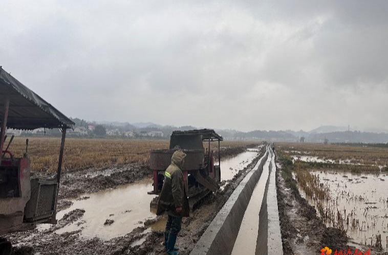 沙坪镇太平村：渠引活水滋良田，路连民心促振兴