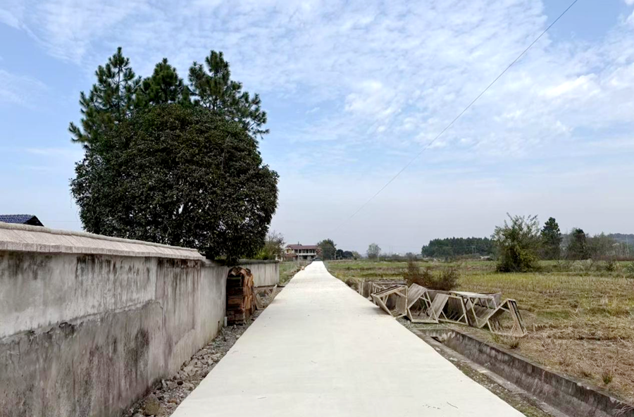 架桥镇：打通断头路 温暖百姓心