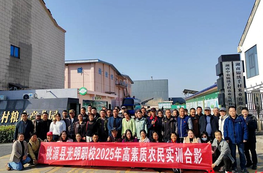 桃源：油菜单产提升培训注入乡村振兴新动能