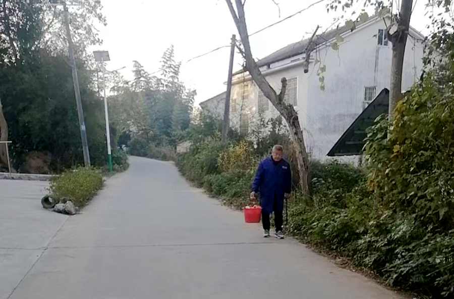 双溪口镇：干群携手，共绘秀美双溪