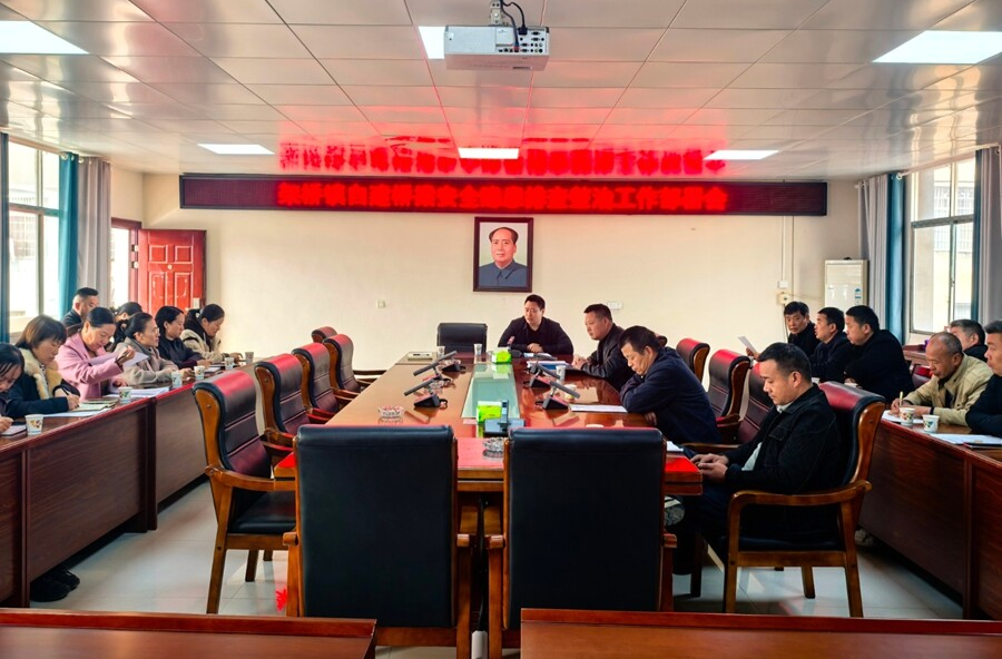 架桥镇召开自建桥梁安全隐患排查整治工作部署会 守护群众出行安全