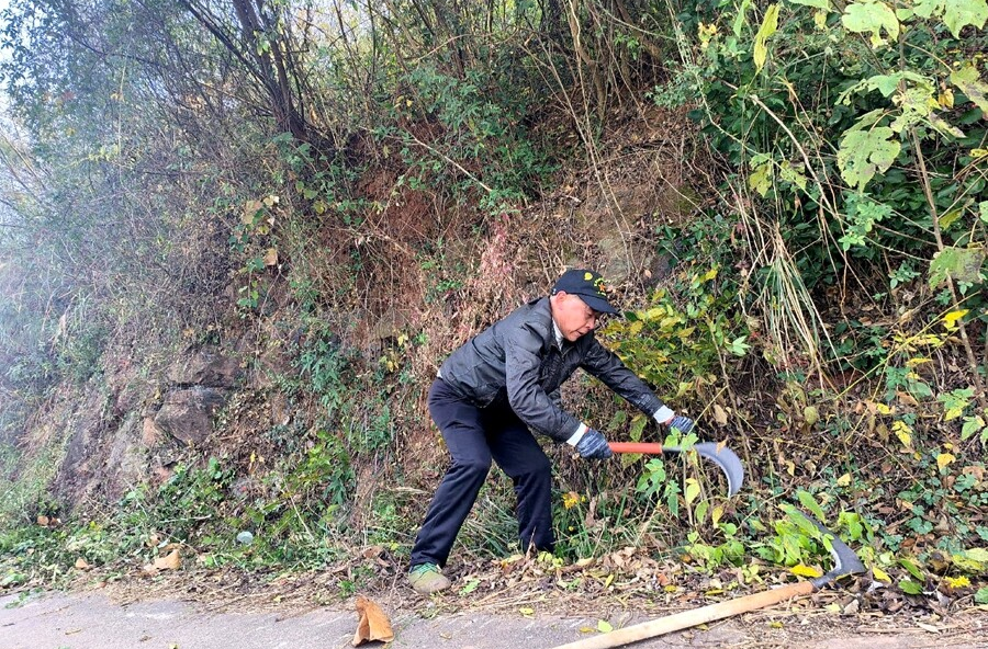 漆河镇：银发挥镰护乡路 善举传情暖民心