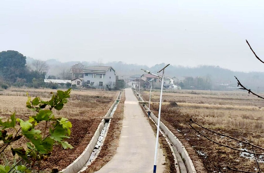 漆河镇八房坪村—— 新建灌溉渠 畅通农田“水动脉”