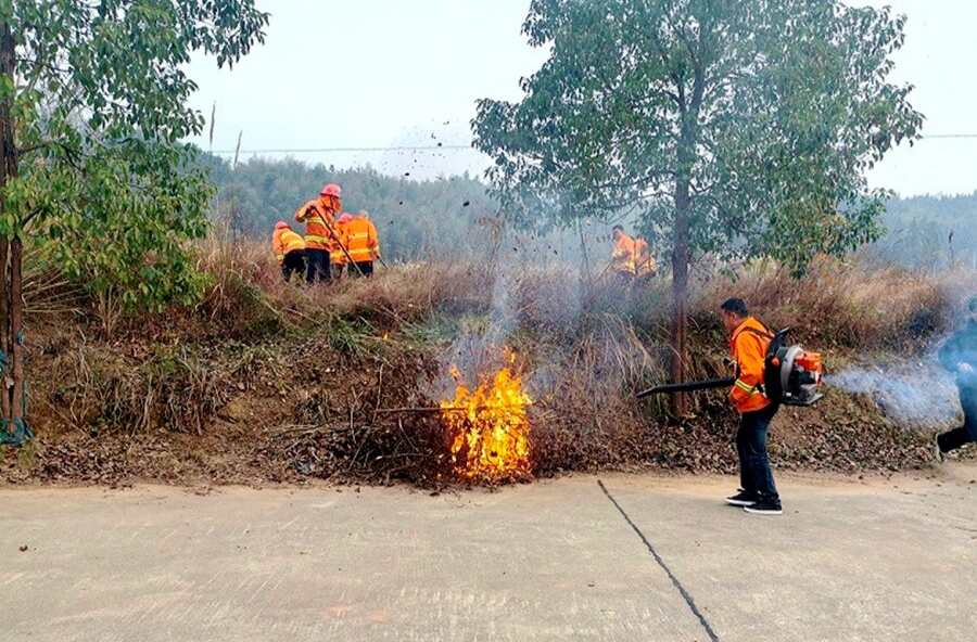 以训赋能强本领 守牢基层安全线——夷望溪镇开展安全生产暨森林防灭火专题培训
