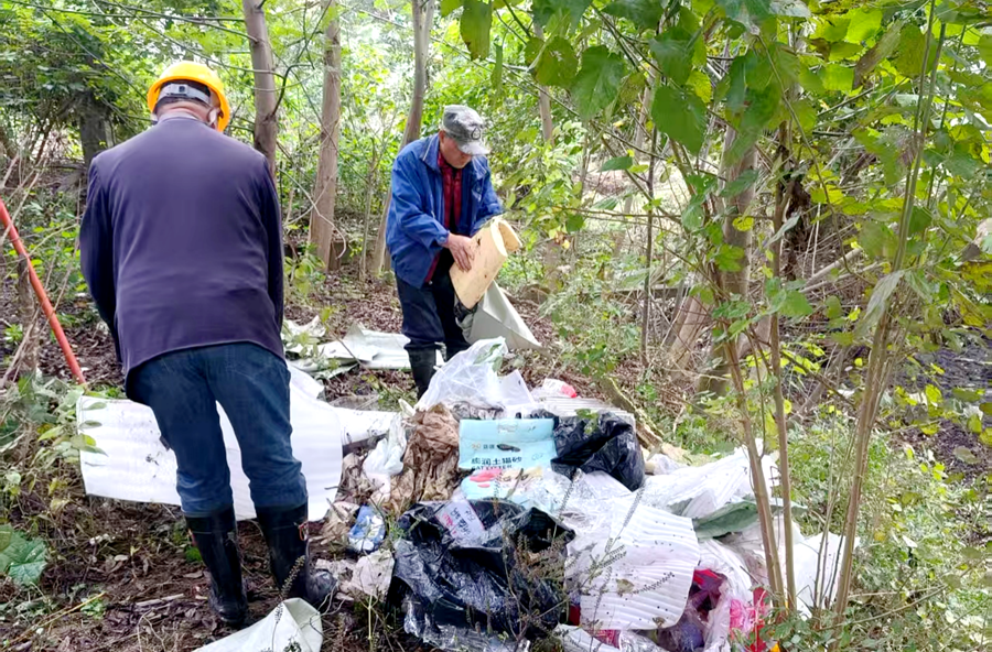 漆河镇兴隆祠居委会：整治白洋河环境 绘就水清岸绿生态画卷