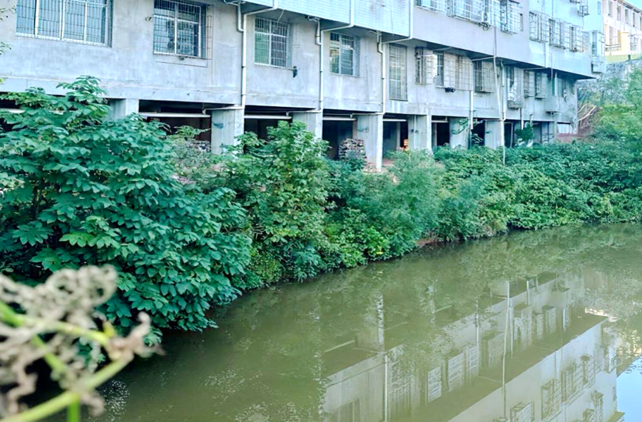 污水“截流”焕新颜 漆河镇黄婆店村堰塘重归清冽