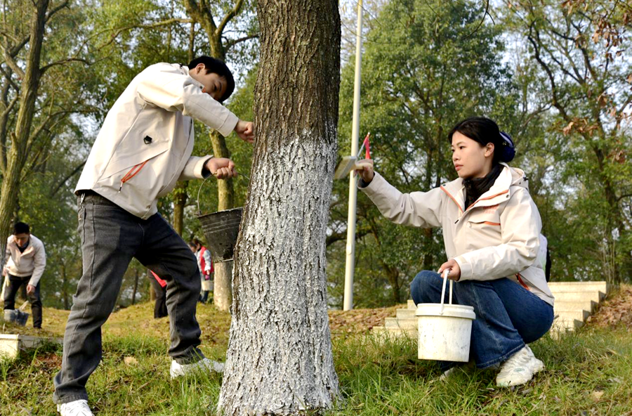 “刷亮绿意·情暖双洲”：冬季树木养护公益活动守护公园生态