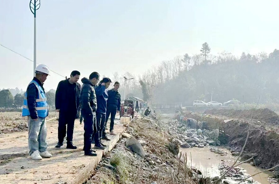 架桥镇：黄龙村高标准农田“绘就”丰收底色