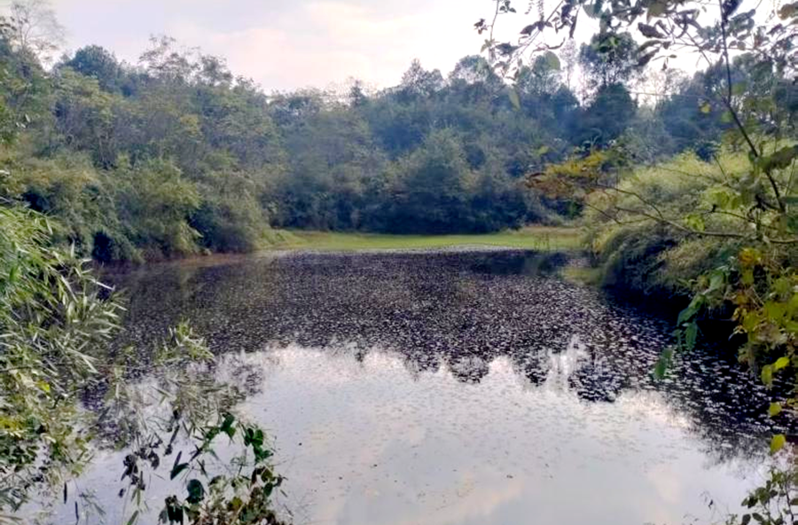 浔阳街道：老堰焕新解民忧 清水润田暖民心