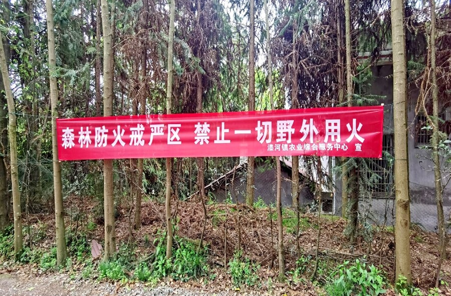 漆河镇：织密森林防灭火“安全网”， 守护绿水青山平安线