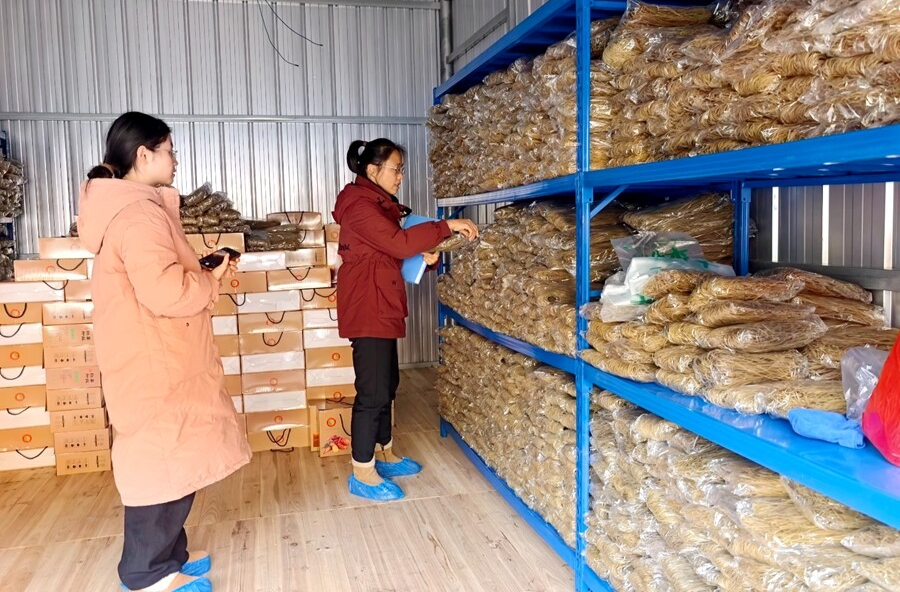 西安镇：深入食品生产一线  严把加工环节安全关