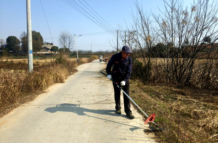双溪口镇：协会引领聚合力，清障护路优环境