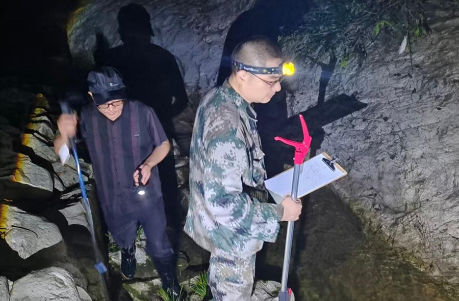 湖南乌云界国家级自然保护区沙坪片区两栖爬行动物调查发现3种保护区新纪录种