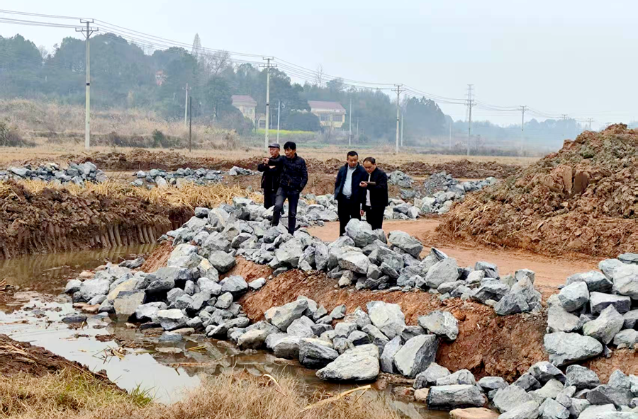 架桥镇：精准勘测明地类 规范用地护农耕