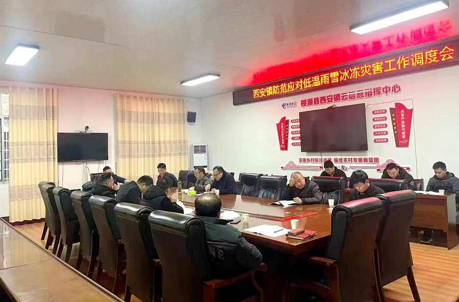 未雪绸缪筑防线 多措并举护平安——西安镇全力备战冰冻雨雪天气