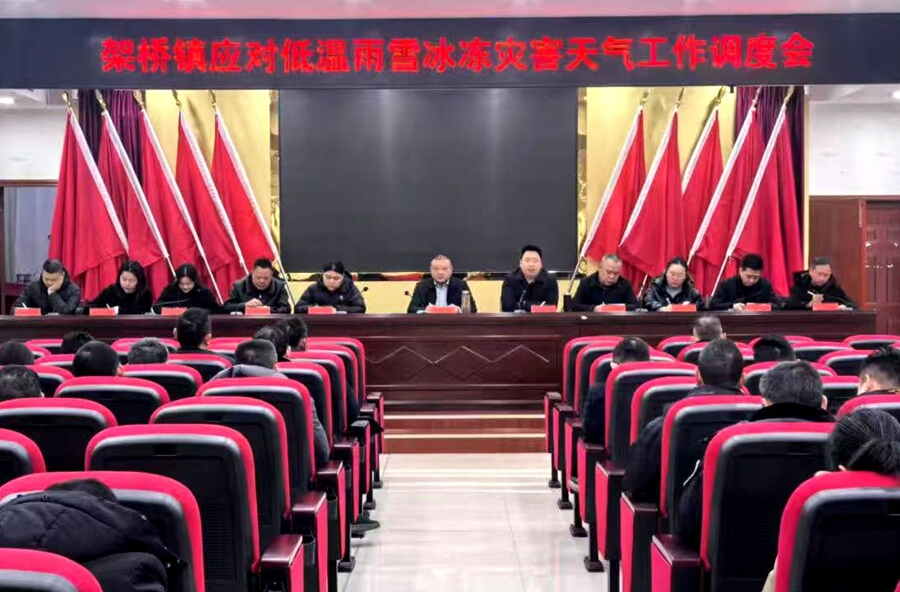 以“动”制“冻”守平安 架桥镇筑牢低温雨雪防御屏障